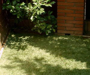 Aquagrazz a 1.250 CZK