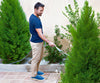 Stepluxe Slippers a 198 LEU